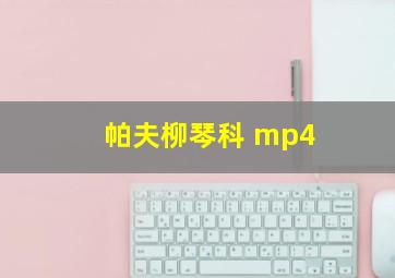 帕夫柳琴科 mp4